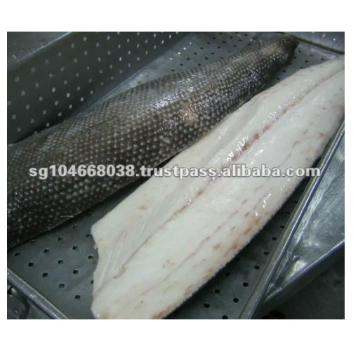 OILFISH RS FILLET