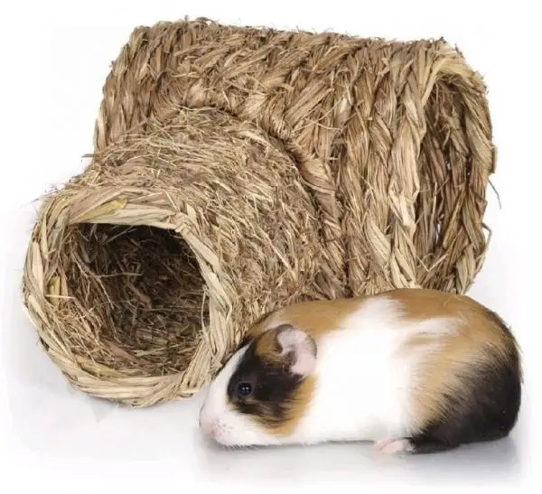 2022 New design natural wicker woven rattan pet dog