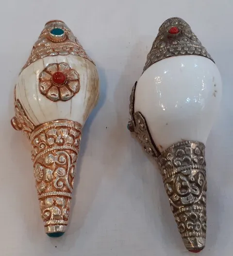 Auspicious Sign set Conch shell