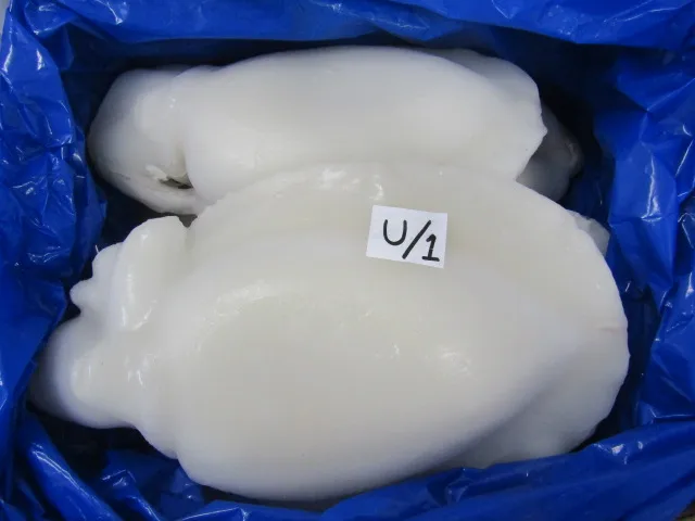 Frozen Cuttlefish cleaned IQF from India