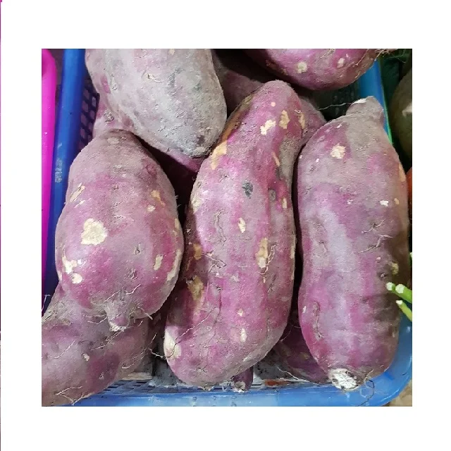 Yellow, purple and red sweet potato pieces to frozen and fried as customized