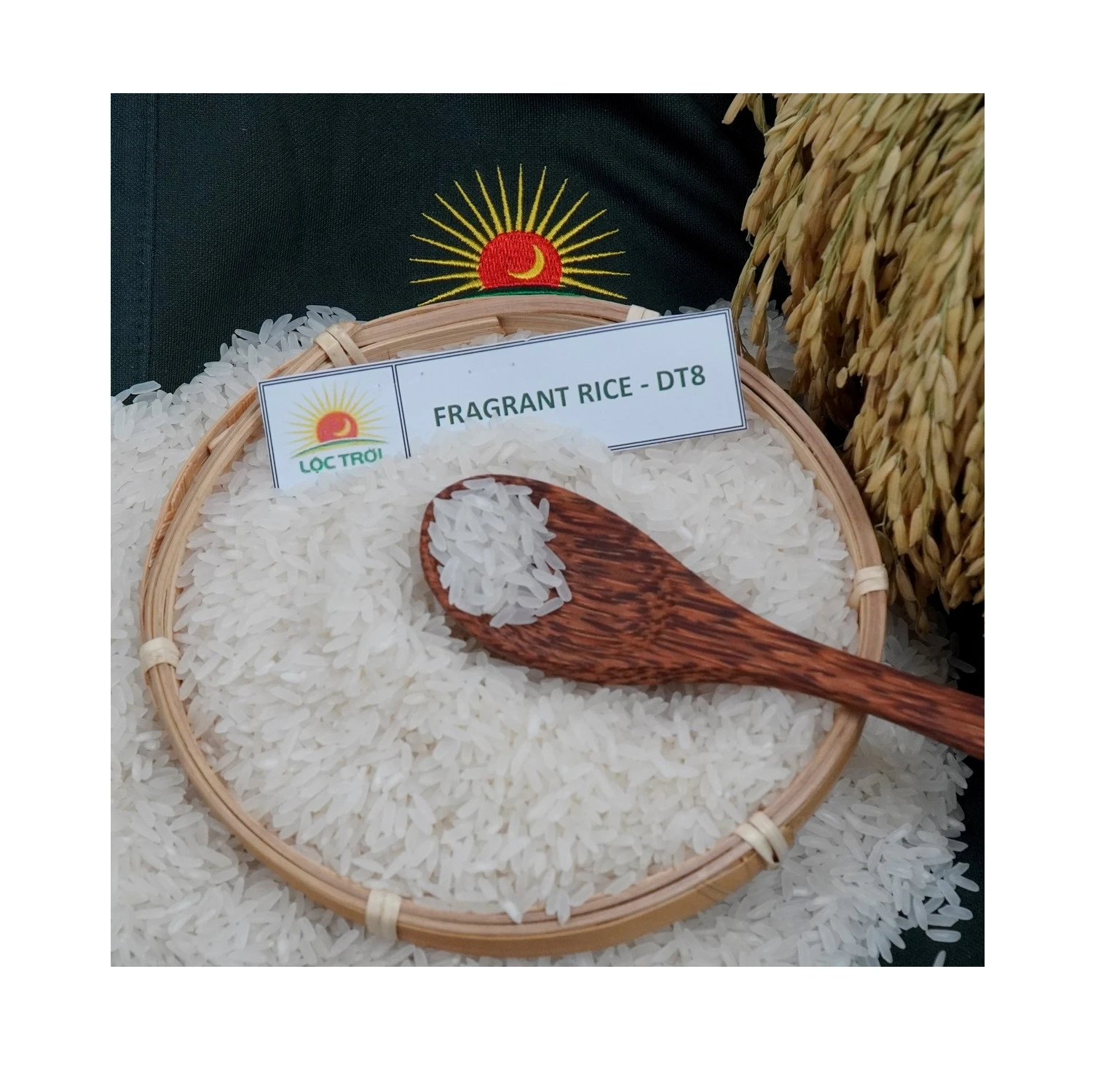 Top Export Long Grain Fragrant Rice/White Rice DT8 Variety from Vietnam Best Supplier Contact us for Best Price