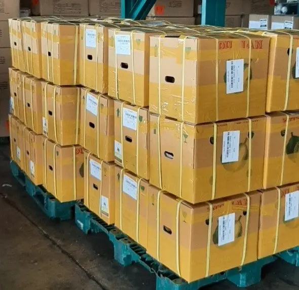 Wholesale Fresh Rambutan Rambutan Export 100% Fresh Tropical Fruit Best Price High Quality made in Vietnam