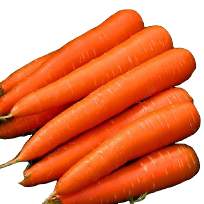 New crop fresh organic vegetables wholesale carot/carrot seeds price of carrots in bulk for export