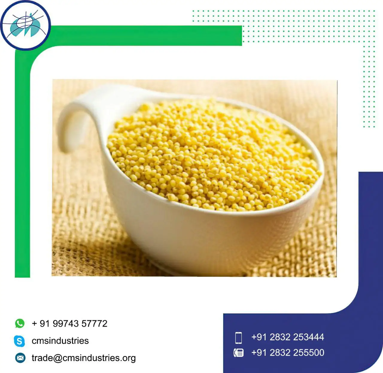 Очищенный желтый или сорго CH5