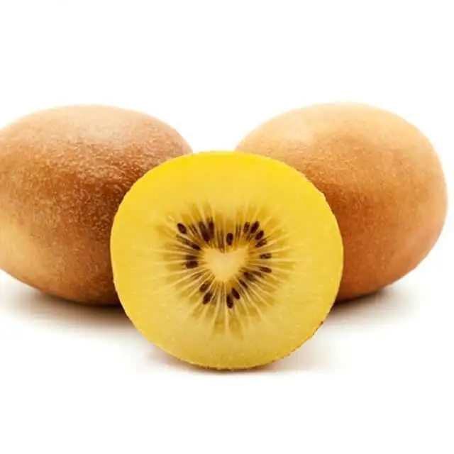 Wholesale Fresh Kiwi / Kiwi Fruit For Sale / Good Price Quality Fresh Kiwi Fruits
