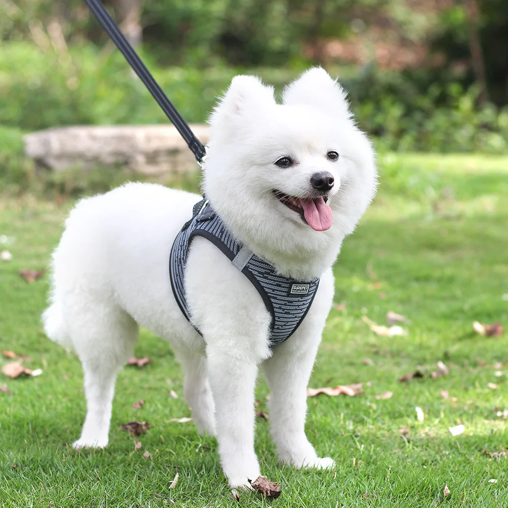 Оптовая продажа роскошный маленький индивидуальный светоотражающий Регулируемый сетчатый жилет для домашних животных