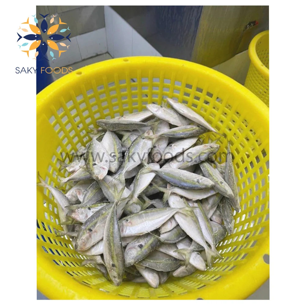 High Quality Seafood Frozen Yellow Stripe trevally fish sale good price