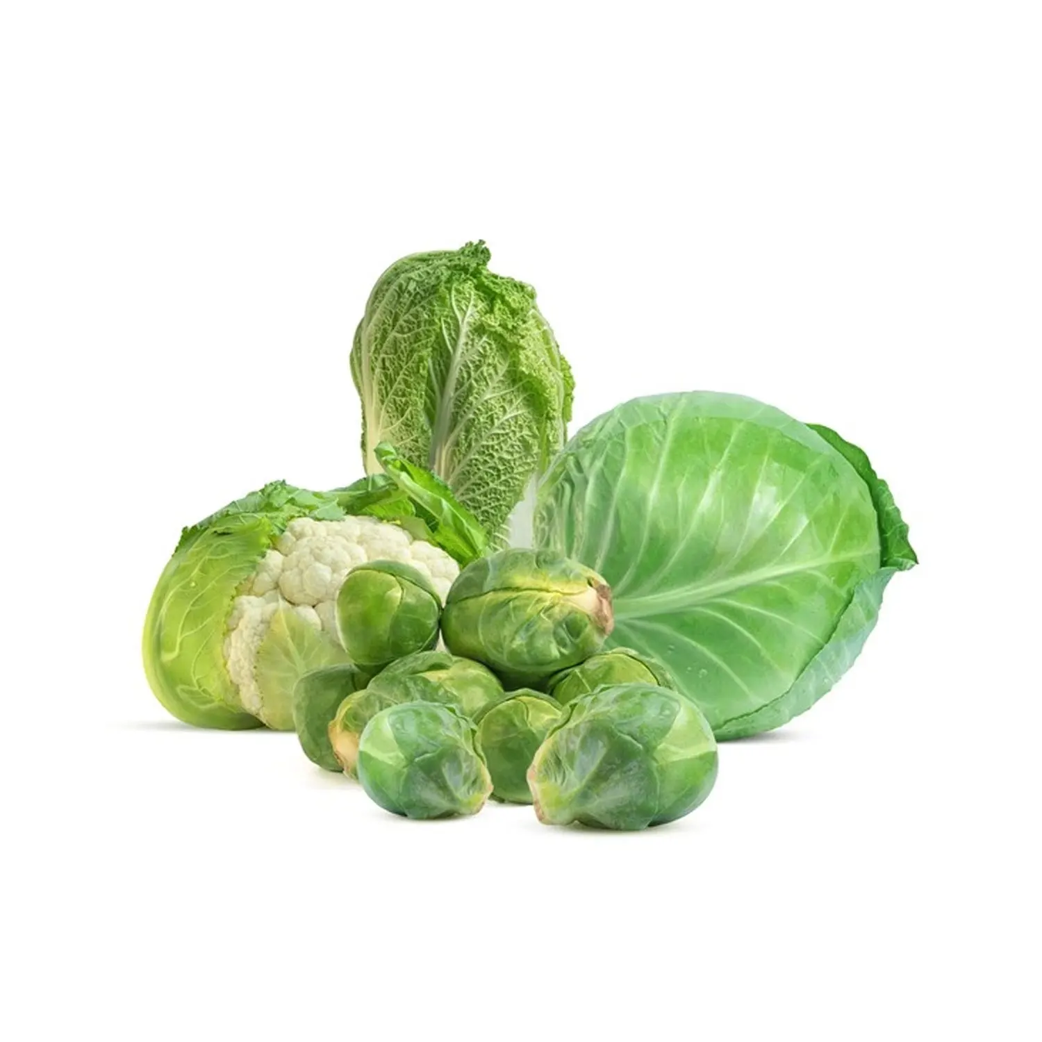 Свежая Зеленая капуста по низкой цене