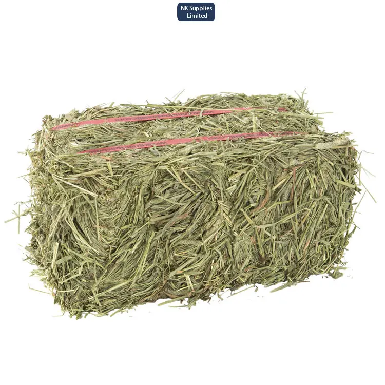 
Ukraine Origin Supplier of Huge Selling Finest Quality Alfalfa Hay for Wholesale Buyers 