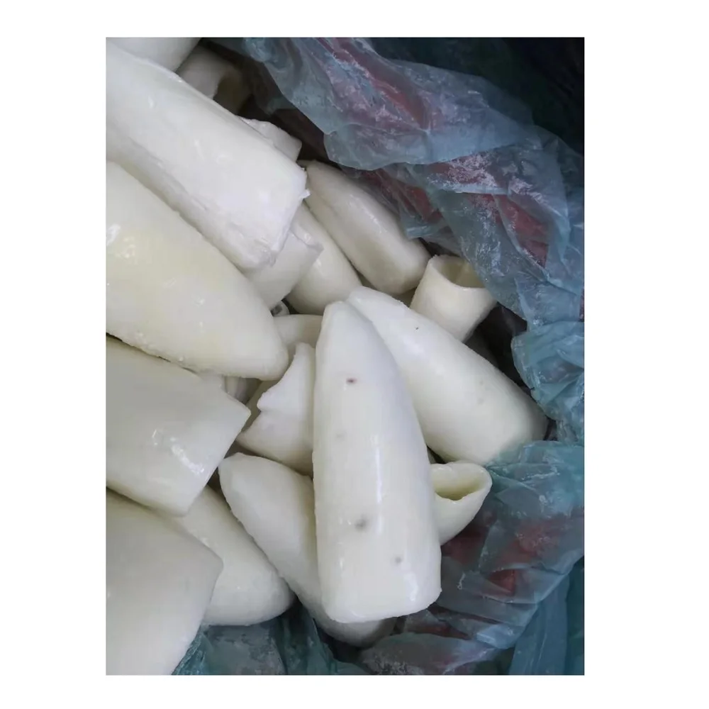 Wholesale Top Grade Frozen Whole Cleaned Cuttlefish Roll IQF With 2 Years Shelf Life From Malaysia