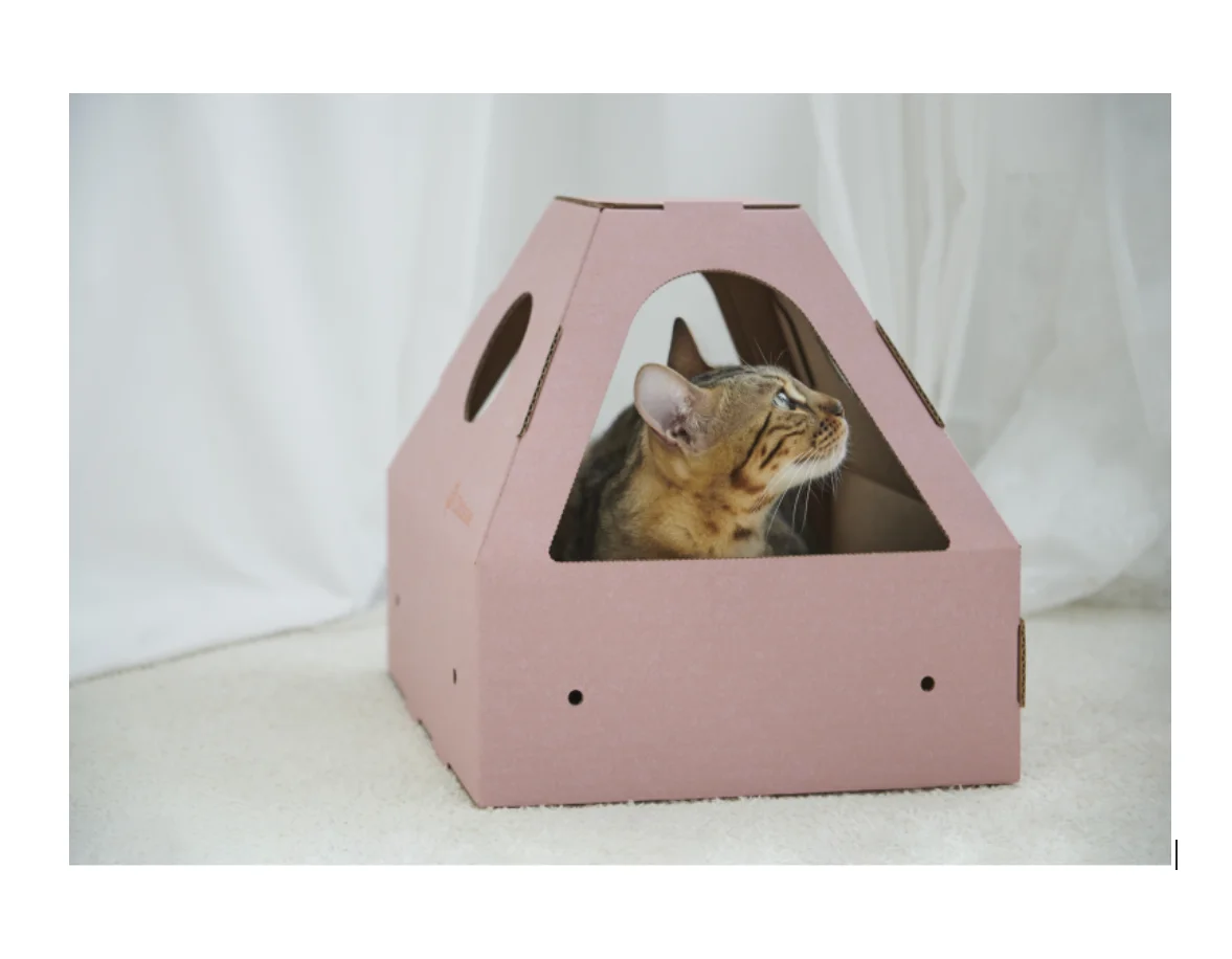 Catssle экологичный современный дом