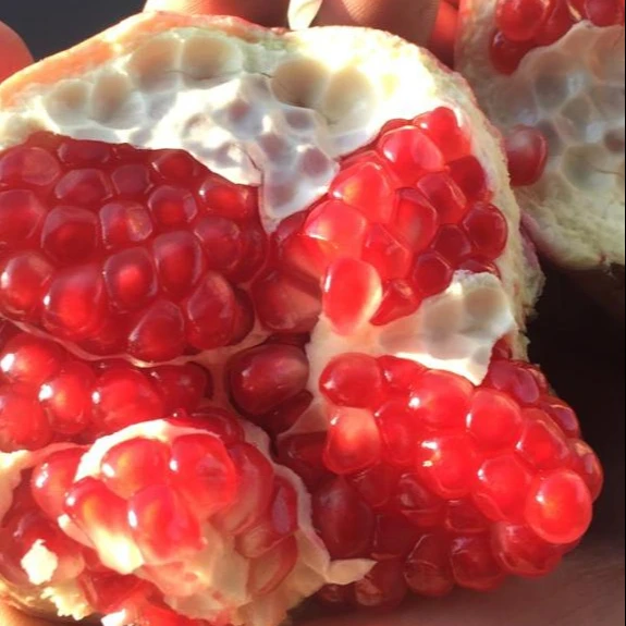 Pomegranates/ Fresh Pomegranates
