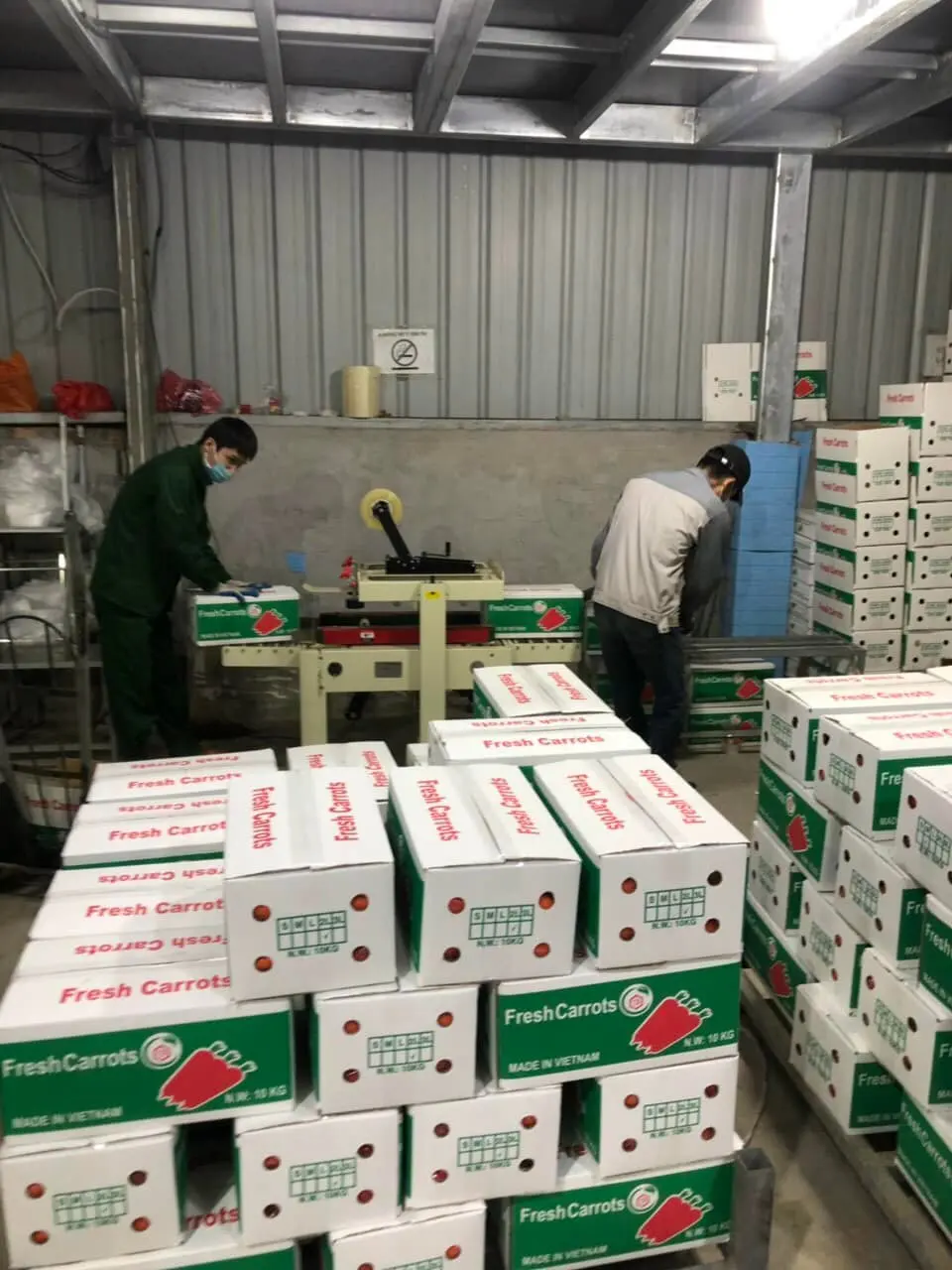 Fresh Carrots -  Customized Package Non-GMO Fresh Carrots Whatsapp +84988667319