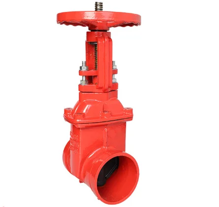 
api 6a cameron fc gate valves manual from China 