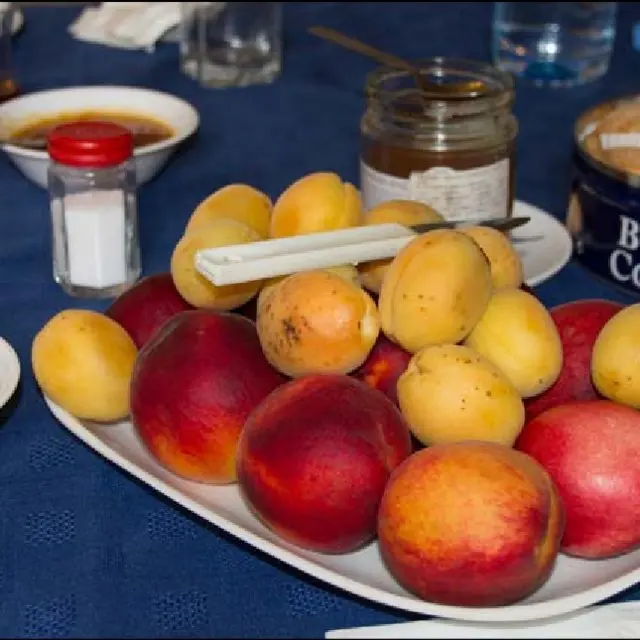 
Fresh Apricot Top Quality Fresh Apricot, Organic Fresh Apricot, Fresh Dried Apricot Fruit Organic Fresh Apricots/Dried Apricots 