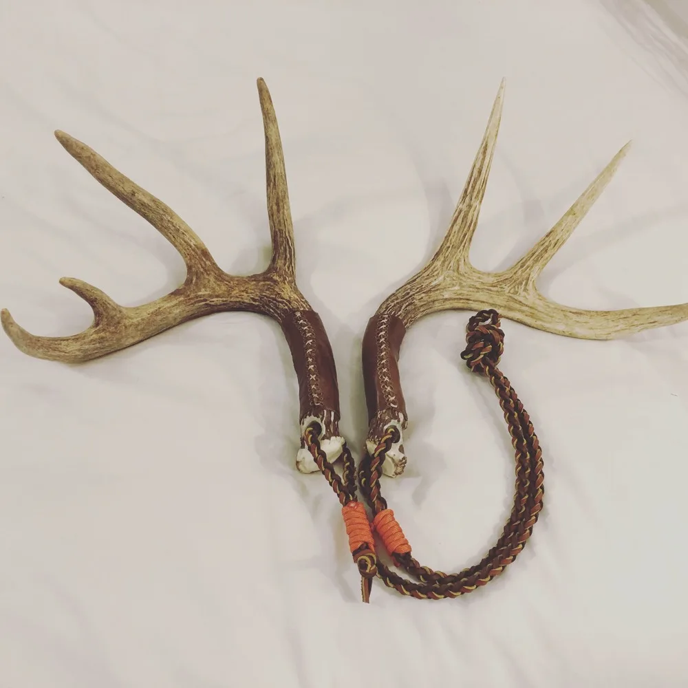 Velvet Deer Antler horn.JPG
