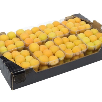 
Fresh Apricot Ninfa 