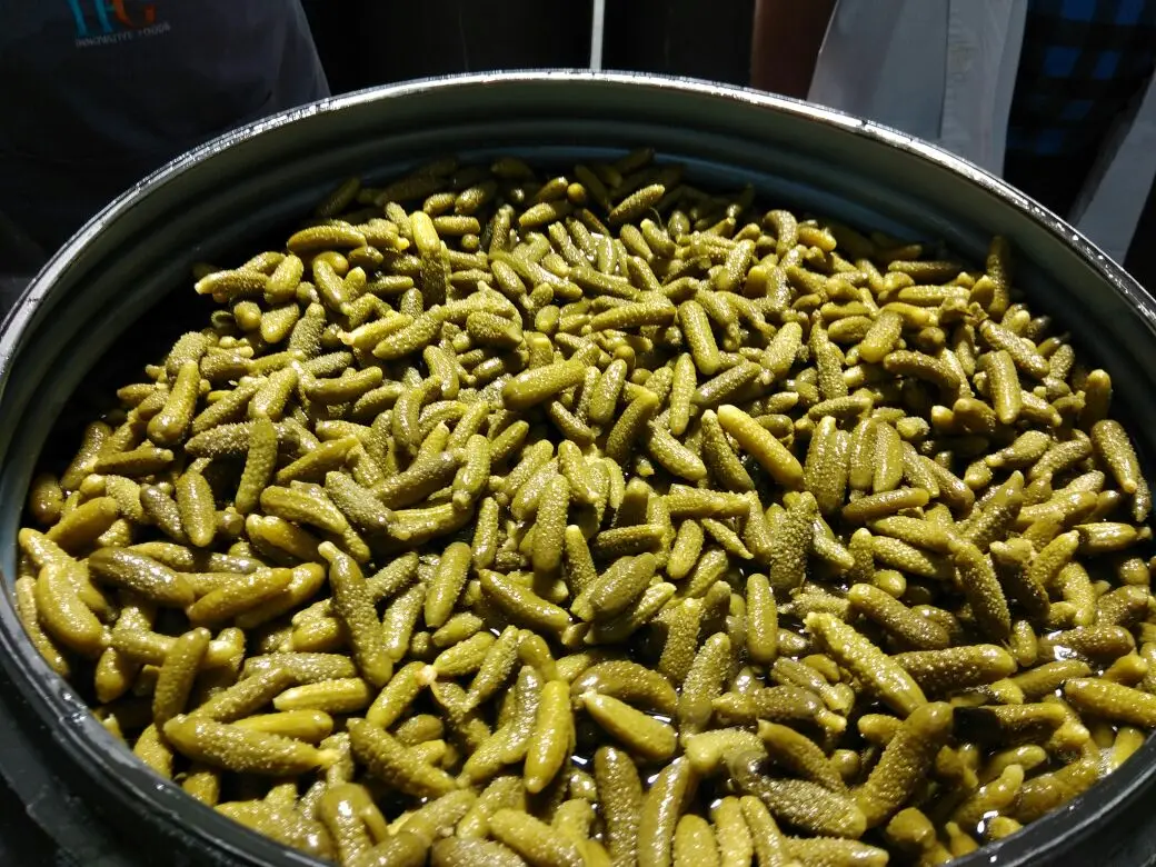  Высококачественные корншоны из уксусной кислоты изготовленные в Индии Доступна Оптовая Продажа на заводе для пищевых продуктов