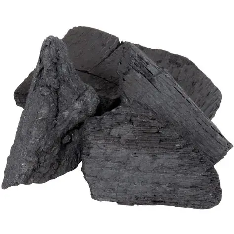 Mangrove, oak and pine hardwood charcoal, lemon and orange tree hardwood charcoal for bbq with low price