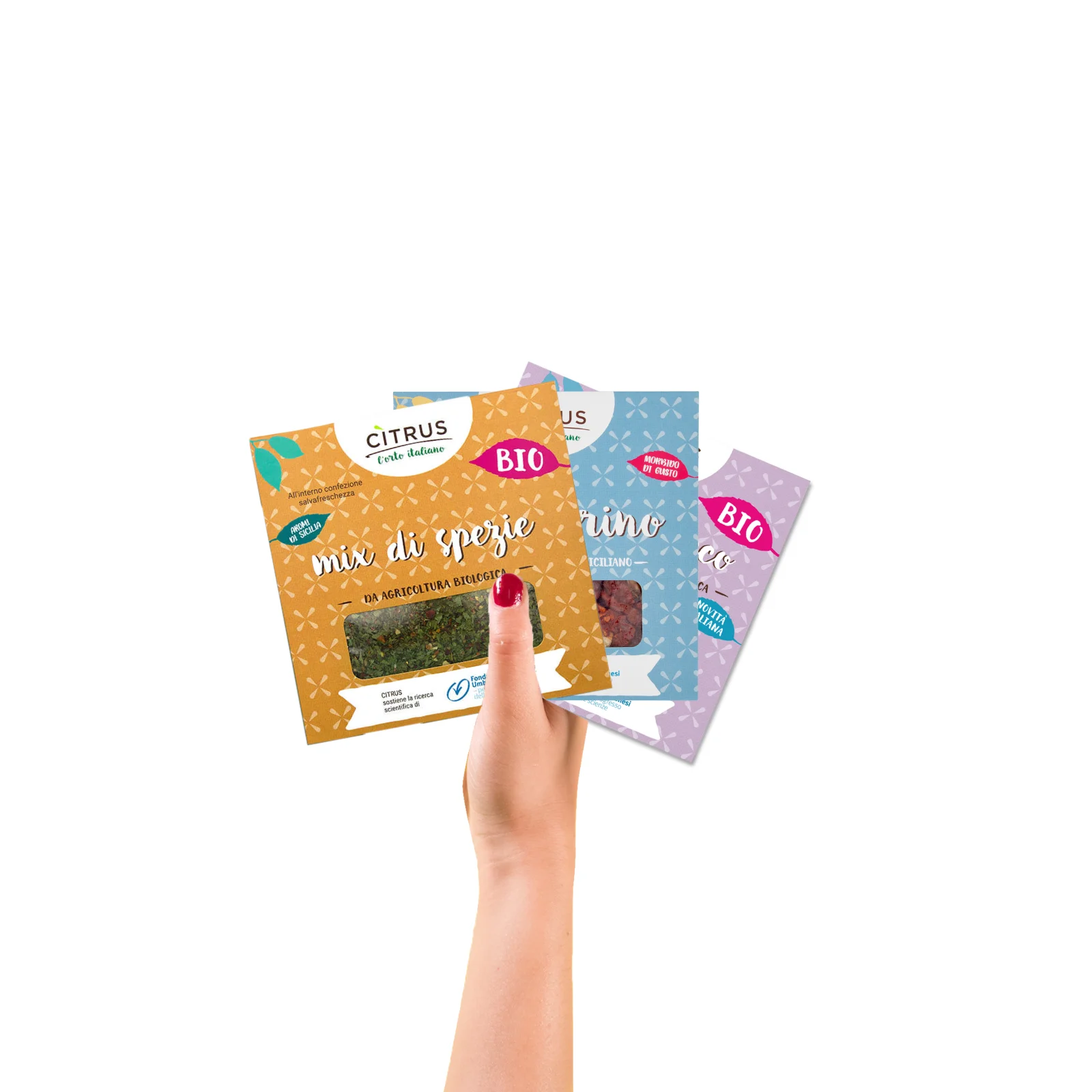 Organic Italian Garlic Mixed Spices Dried tomatoes ginger Spices Italian Food and Beverage singles spices for Supermarkets