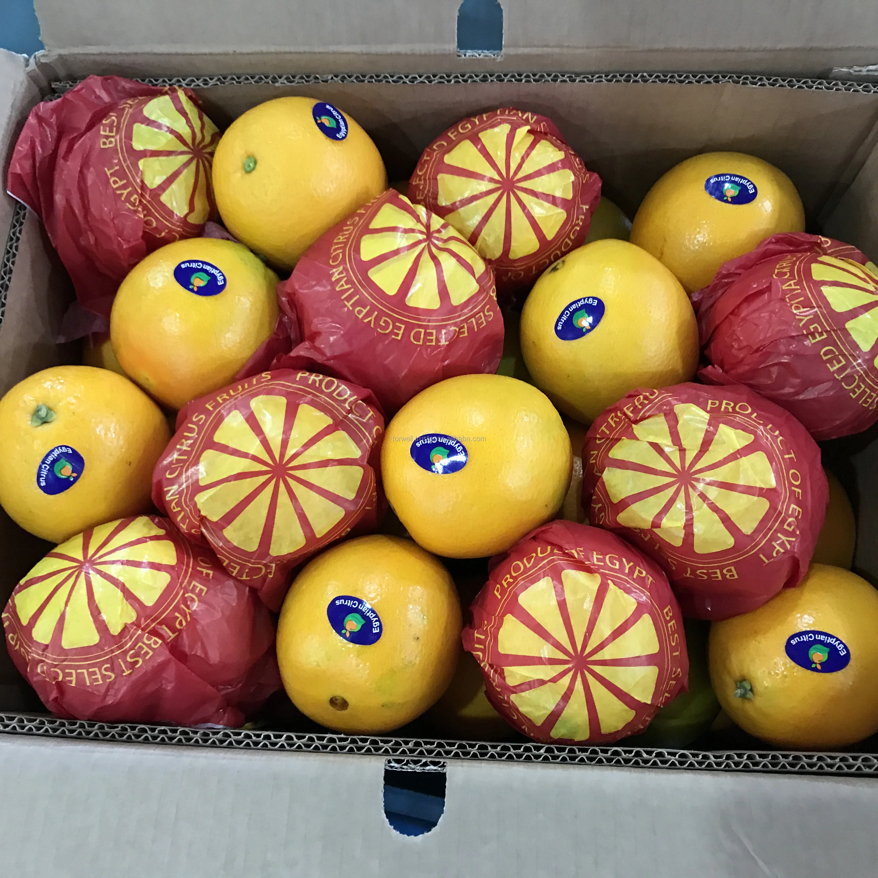 Top Quality Navel Orange From Egypt for export