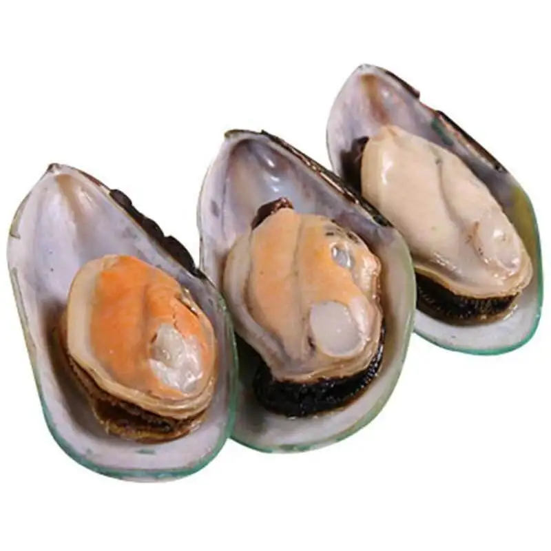 
Wholesale China good price frozen half shell blue mussel 
