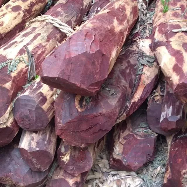 South Indian Red Sandal Wood Logs