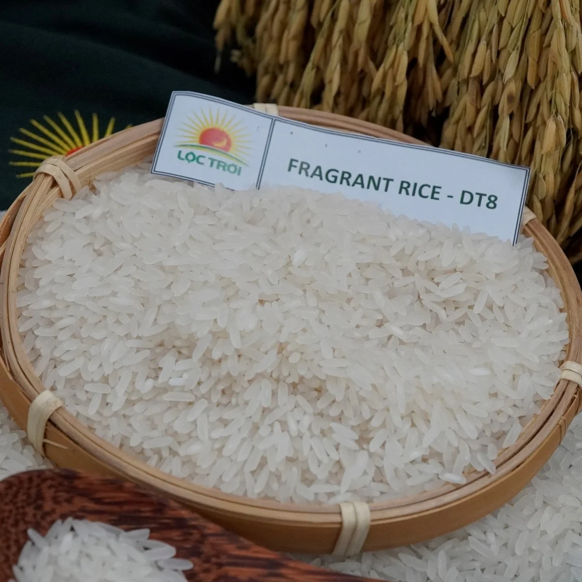 Top Export Long Grain Fragrant Rice/White Rice DT8 Variety from Vietnam Best Supplier Contact us for Best Price