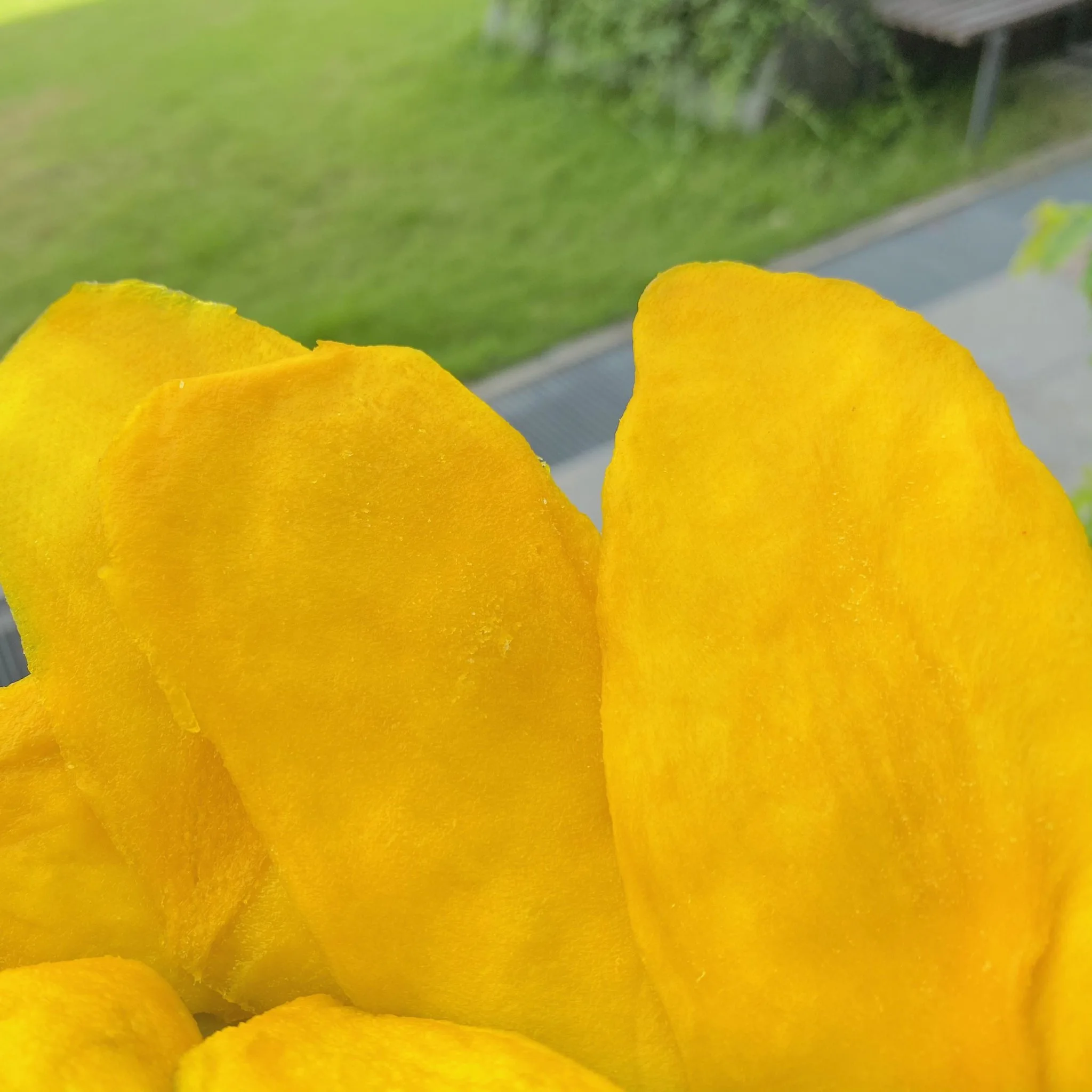 [Лидер продаж] мягкое сушеное манго для экспорта (Mobile/ WA: + 84986778999 мистер Дэвид директор)