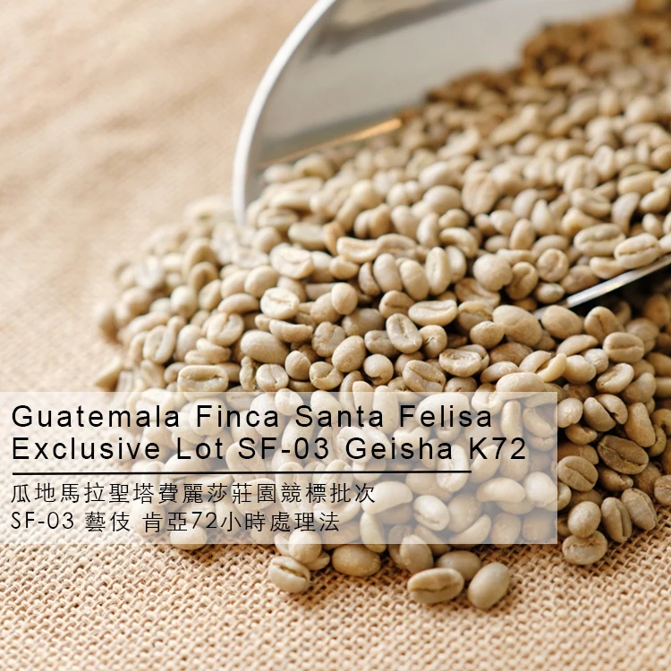 
Guatemala Finca Santa Felisa Exclusive Lot SF-03 Geisha K72 Green Coffee Beans Wholesale 