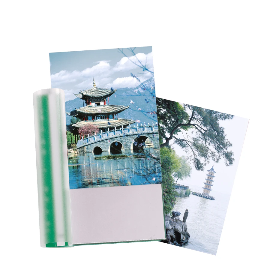 4 Assorted Colors Display Folder for Presentations