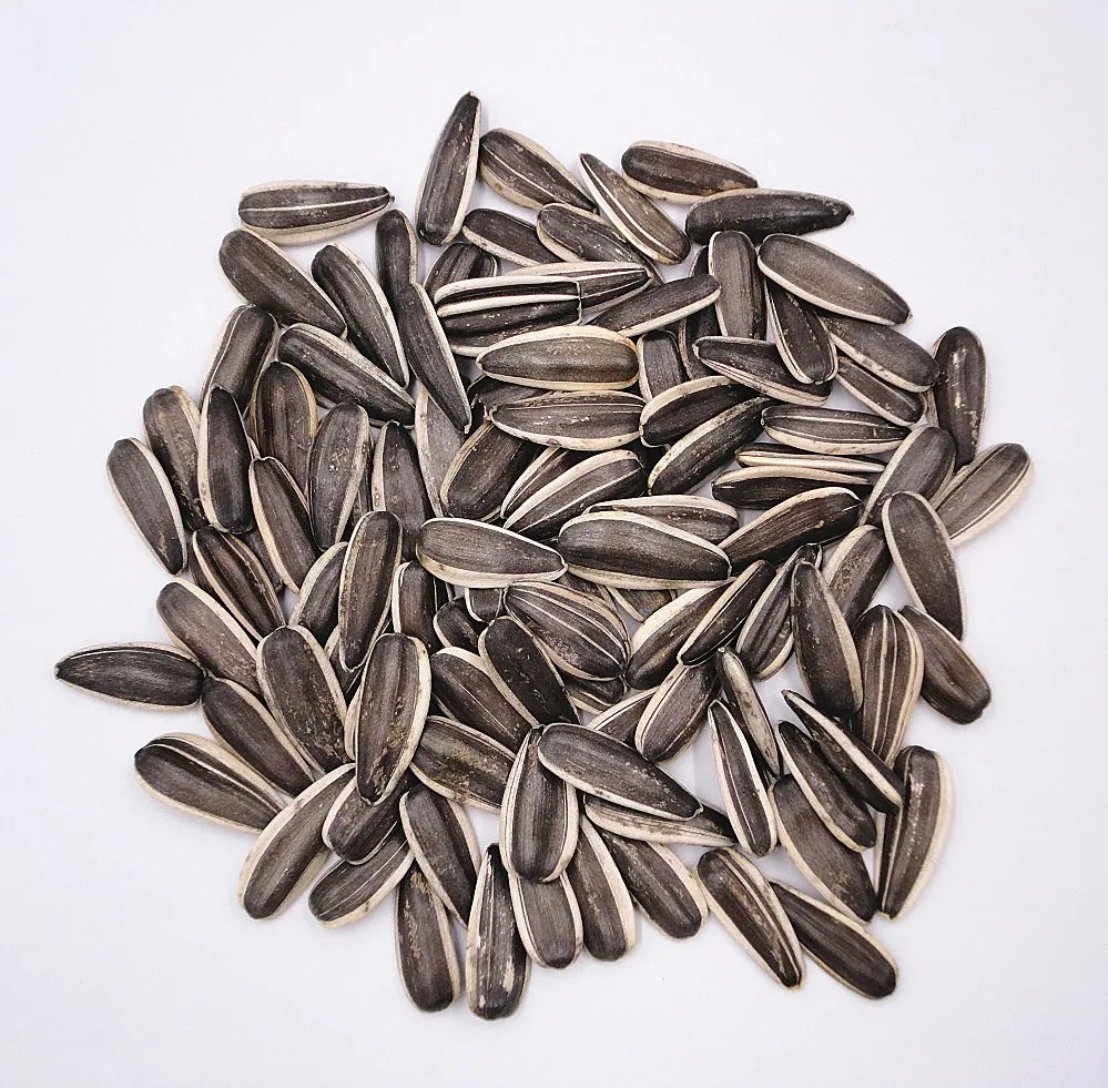 Sunflower Seeds