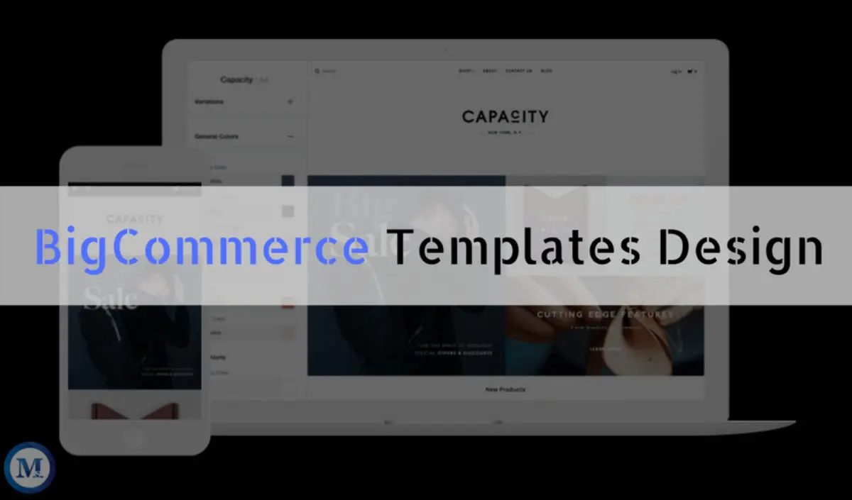 Bigcommerce Website Design with Domain Registration, Website Hosting Space, Email Account Creation and Website Marketing
