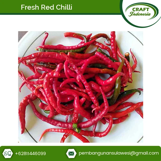 Farm Fresh Spicy Fresh Red Chili Pepper Super at Superb Price