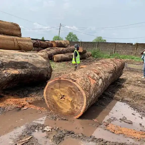 OKAN африканские круглые бревна TALI SAPELLE SAPELLI