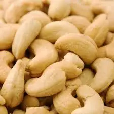 Vietnam Cashew Nuts W180, W210, W240, W320, W450, WS, LP, SP,  BB with Reasonable price