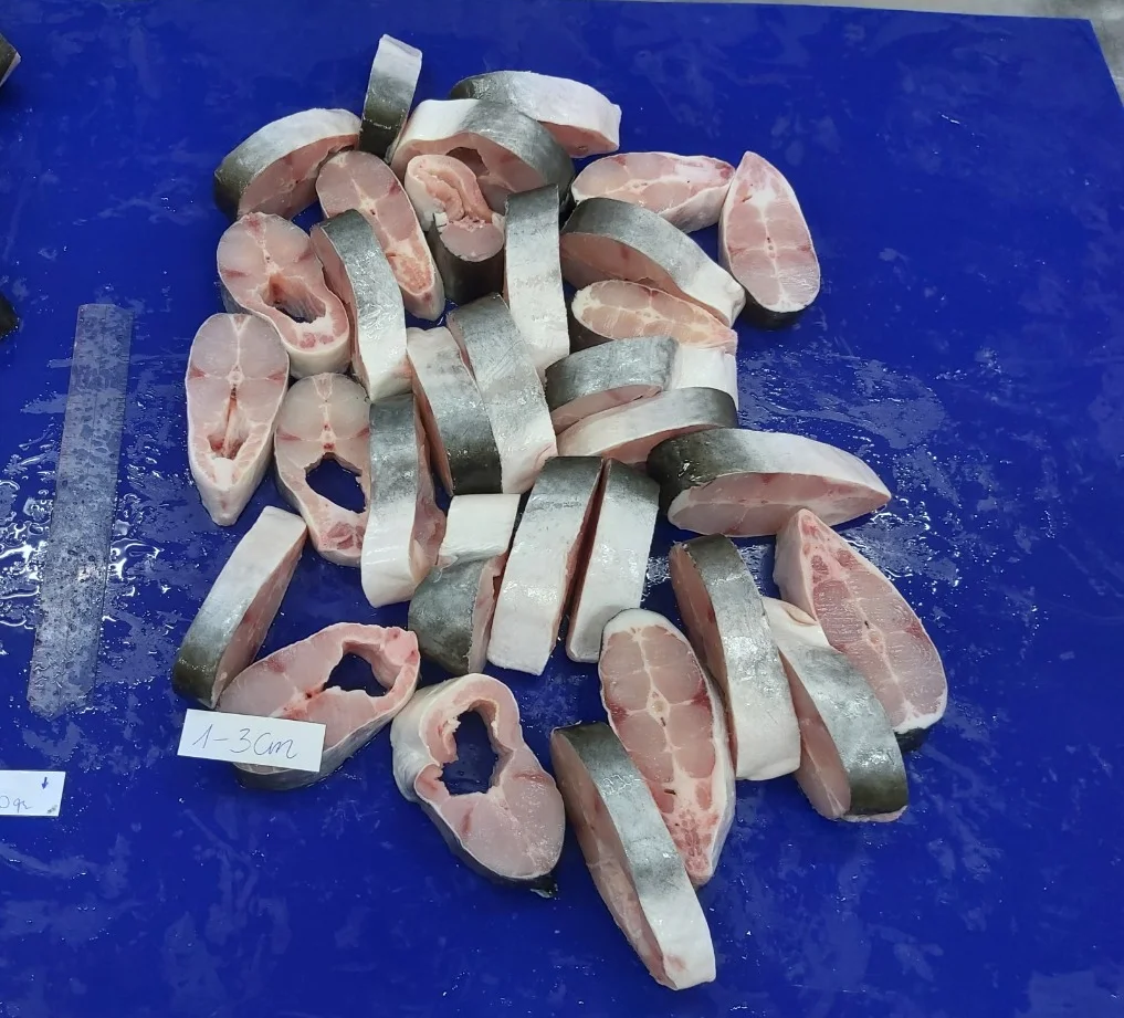 Frozen Seafood Pangasius Hypophthalmus/ basa fish cutting machine Wholesale Suppliers