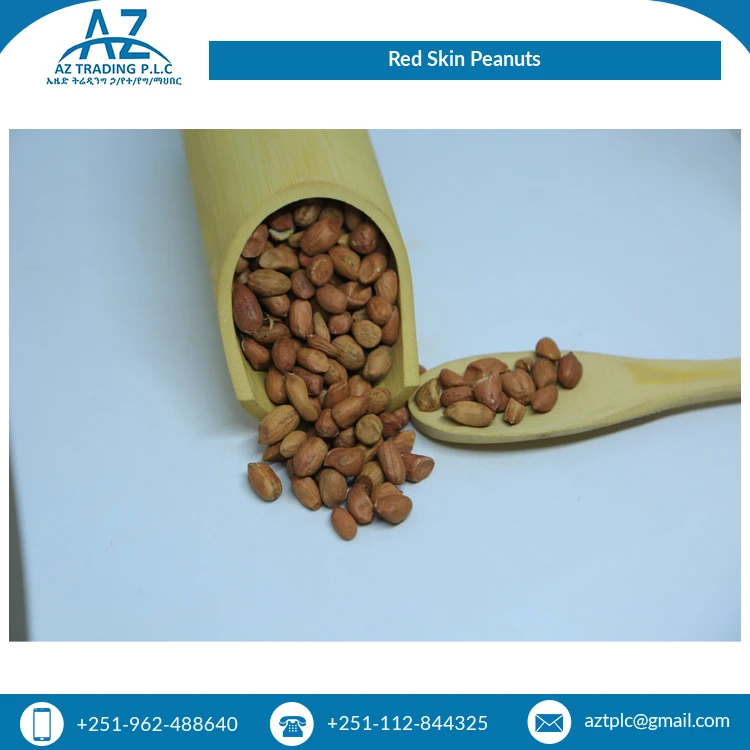 African Supplier Bulk Selling Huge Demand Quality Fresh Red Skin New Crop Peanuts