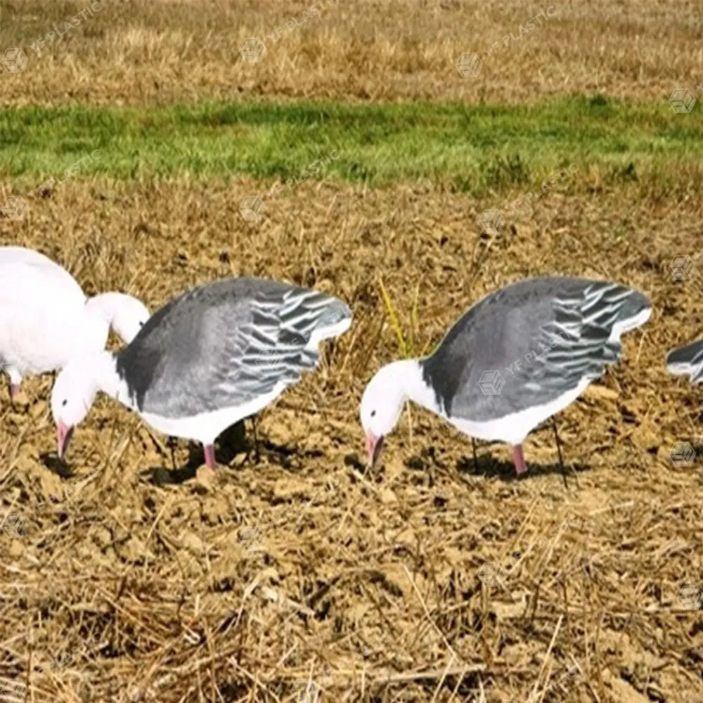 New design corrugated sheet snow goose  floater decoys hunting for sale