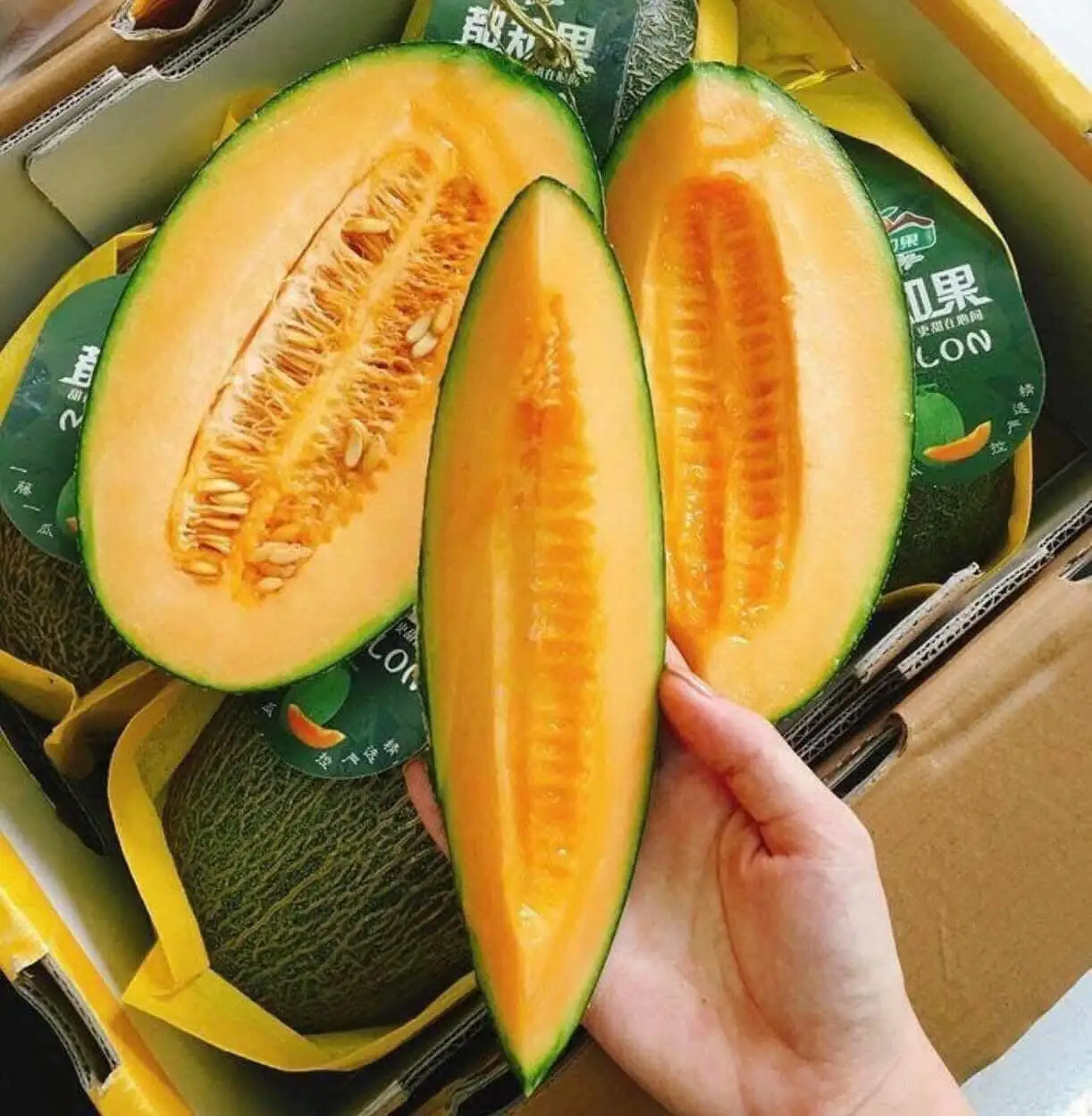 Высококачественная свежая канталупа/Мед Хами Дыня во Вьетнаме/мисс Кэти + 84 896650714