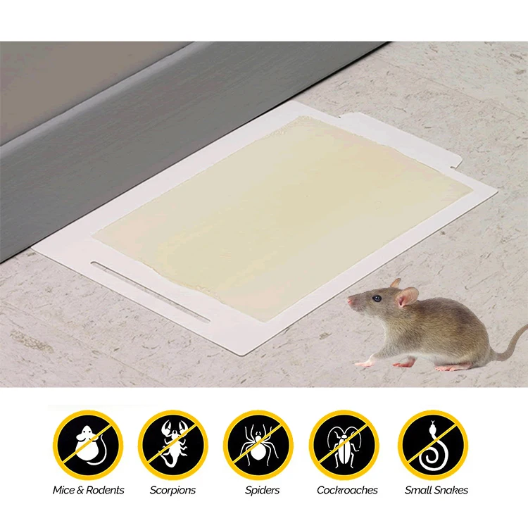 Premium Quality Easy to Use Strong Sticky Baited Mouse Glue Traps
