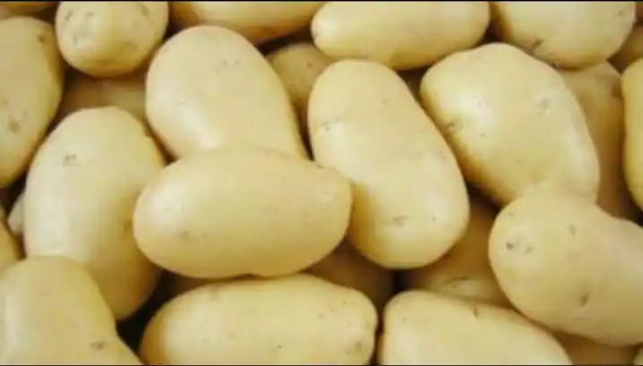 
Superior Quality Competitive Price Organic Healthy Quality Round Fresh Yellow Skin Potato D7 