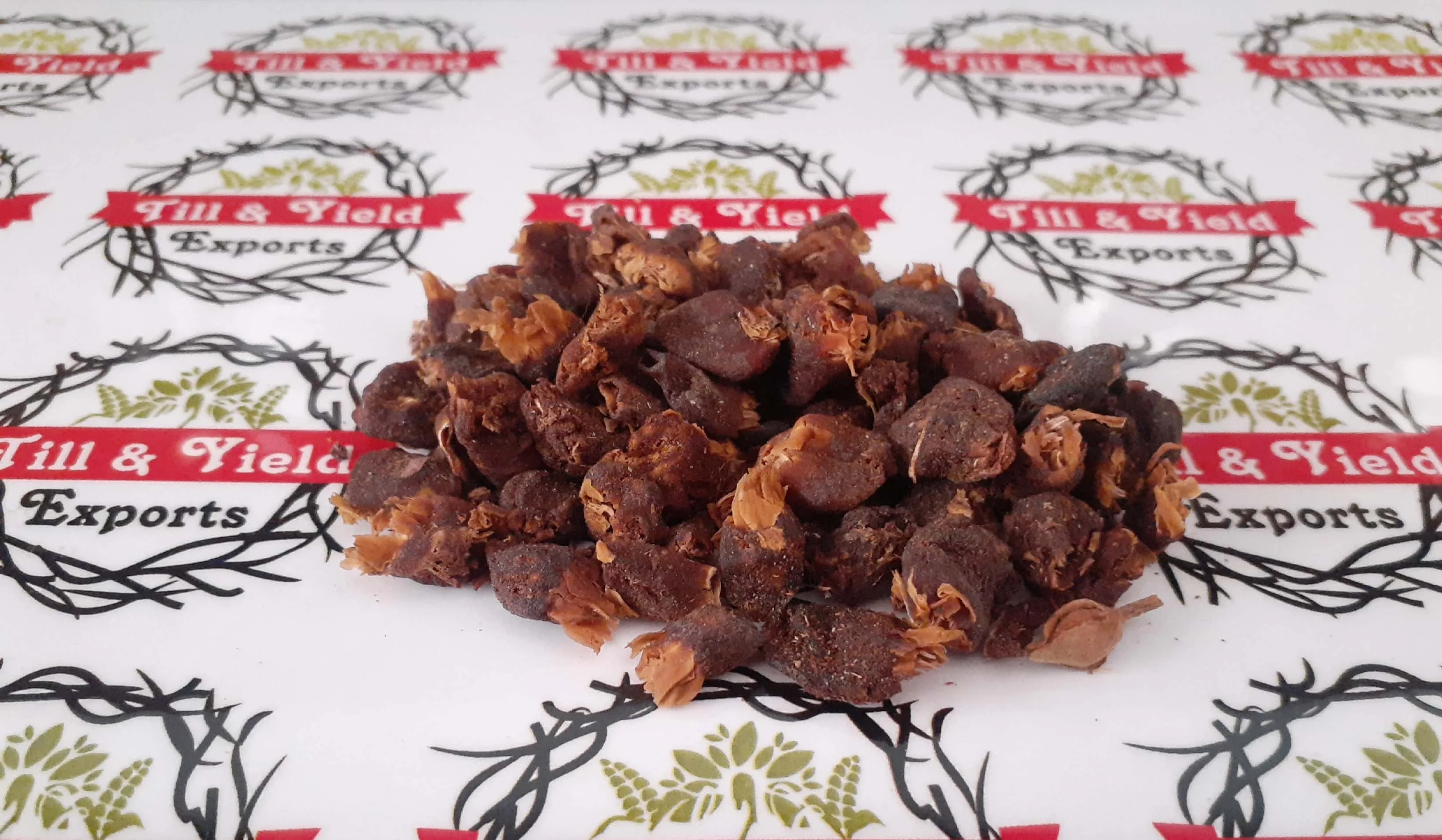 Indian Origin Herb Madhuca Longifolia Seed - Best Quality Mahua Seed Are Widely Used For Removing Intestinal Worms