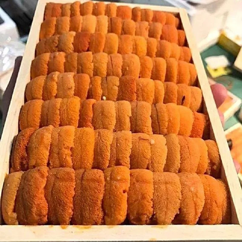 
Frozen Nutritious Sea Urchin for Sale at Low Price 