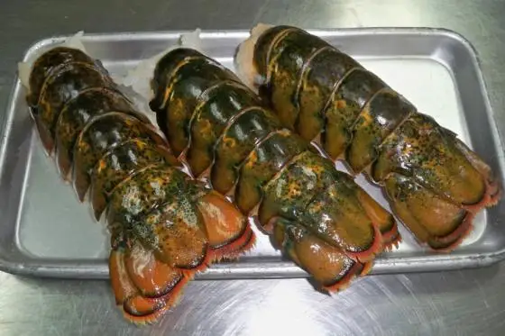 Lobster-Tail-Cheap-Price.jpg
