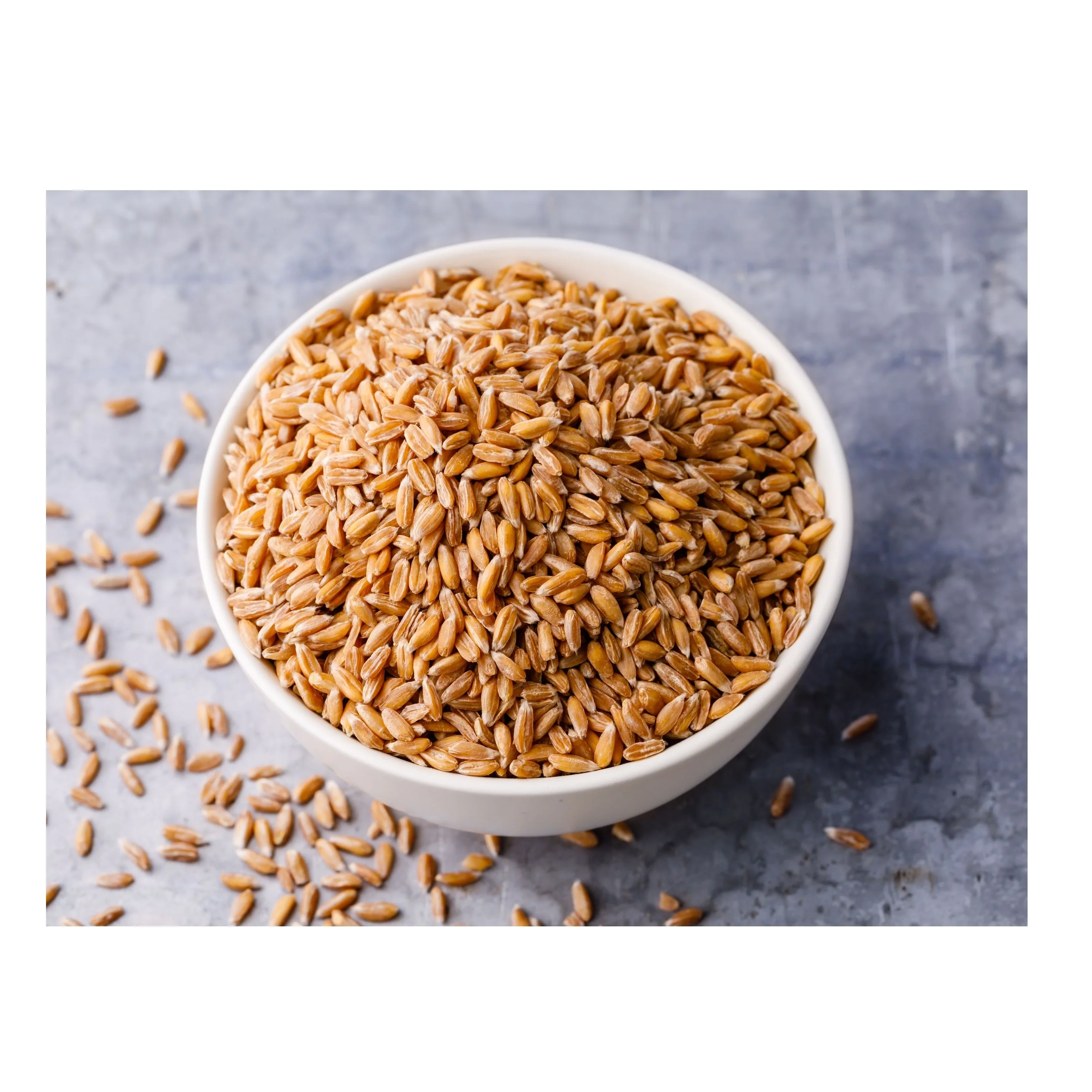 High Quality Wheat Grain Soft  Wheat at Wholesale Price