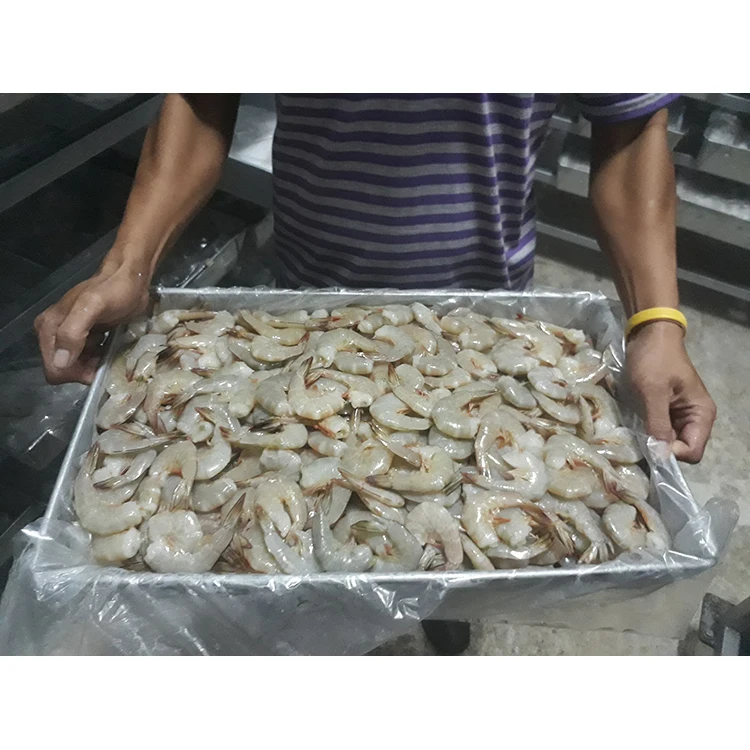 Premium Grade Frozen Headless Sea White Prawn Shrimps