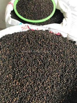 BLACK PEPPER WELL DRIED HOT SALE FROM KINGPEPPER | Ms Lynn +84333 421 999