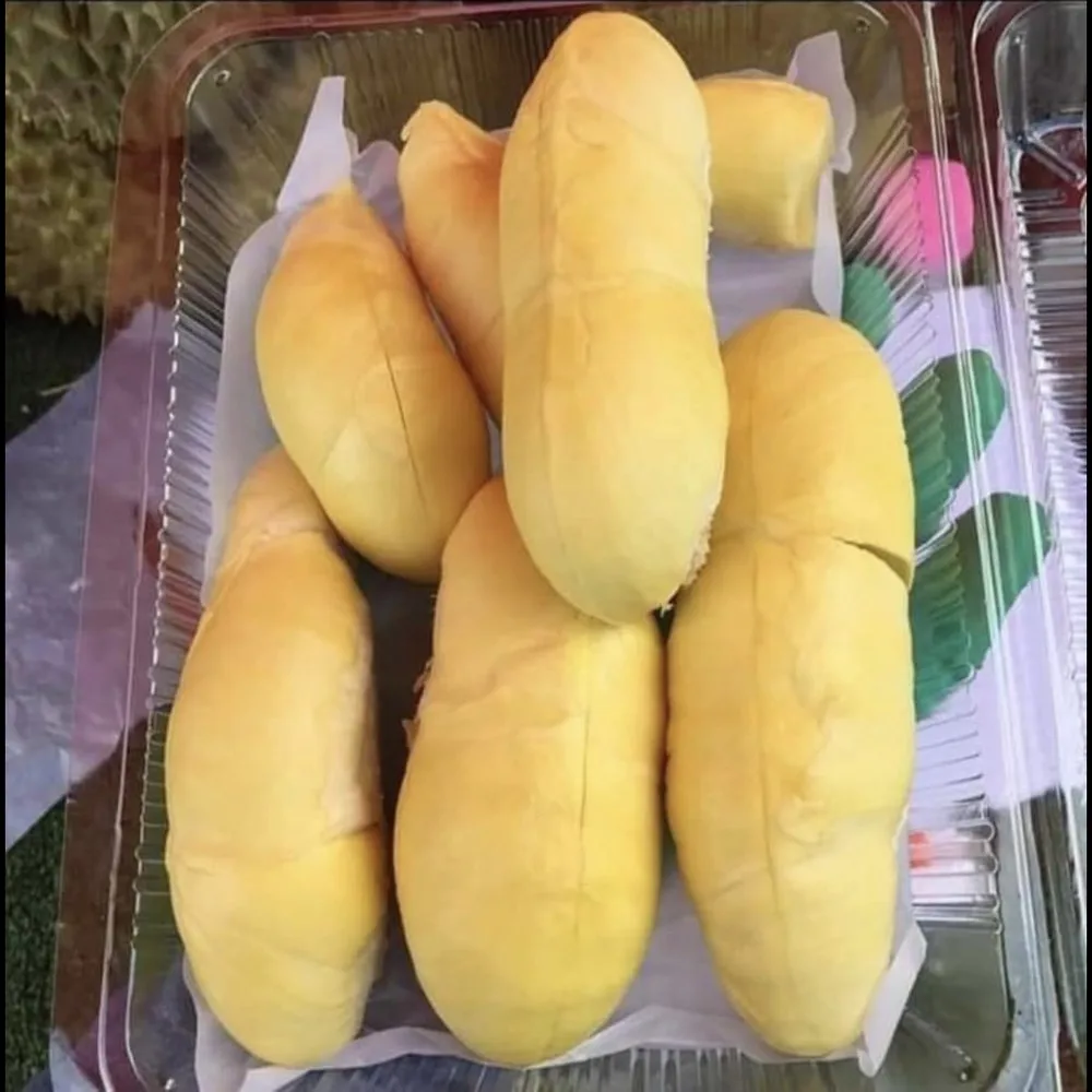 Durians Fresh Fruit with High Quality from Thailand